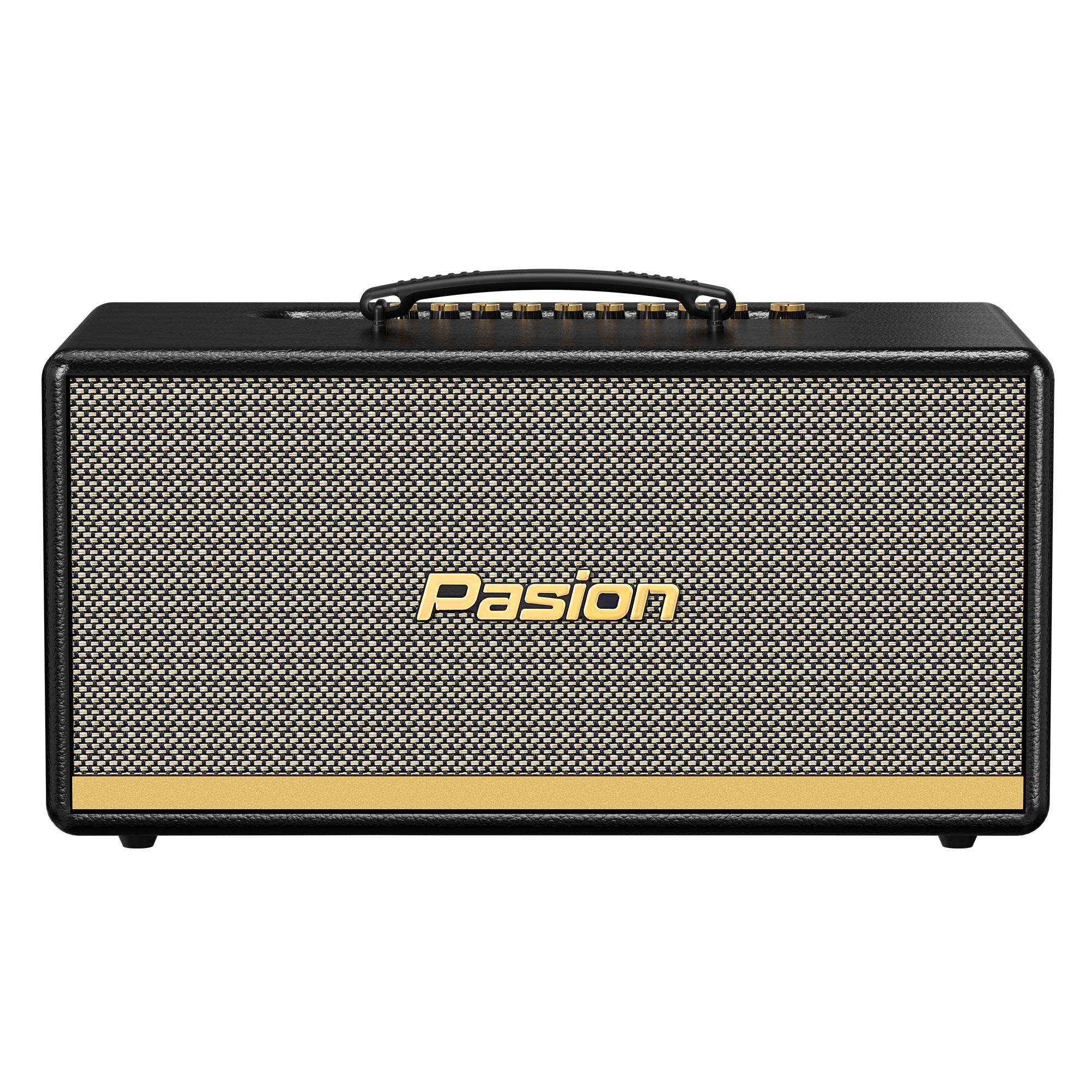 Loa PARAMAX PASION 2