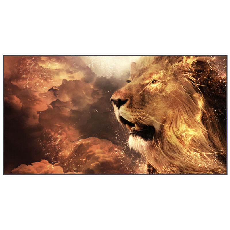 Màn quang học Grandview PE-L133(16;9)