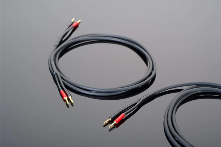 Transparent Hardwired Speaker Cable